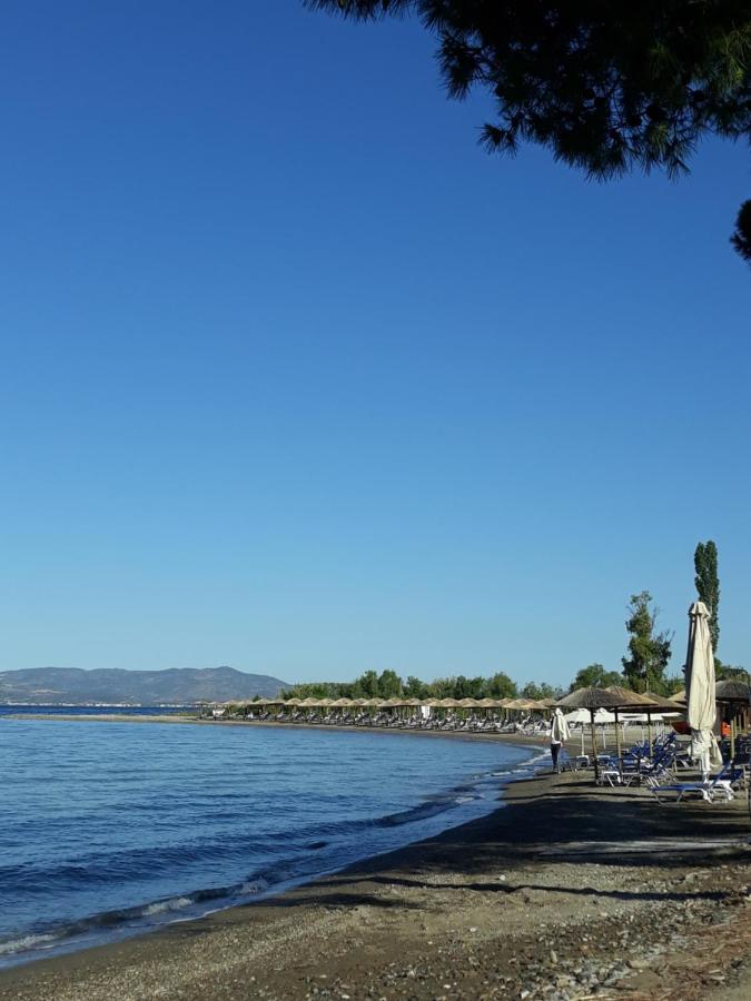 Gorjelina 'S House Villa Volos Buitenkant foto
