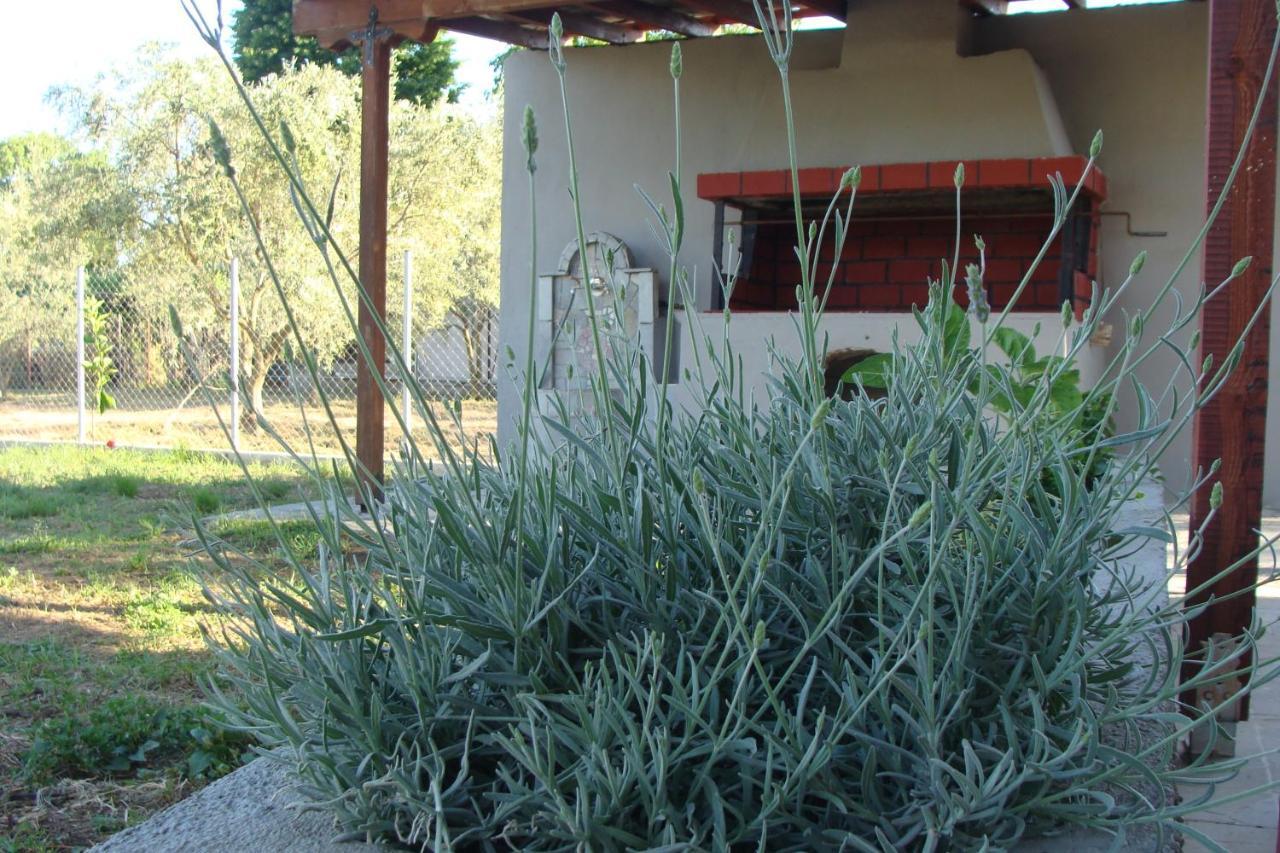 Gorjelina 'S House Villa Volos Buitenkant foto